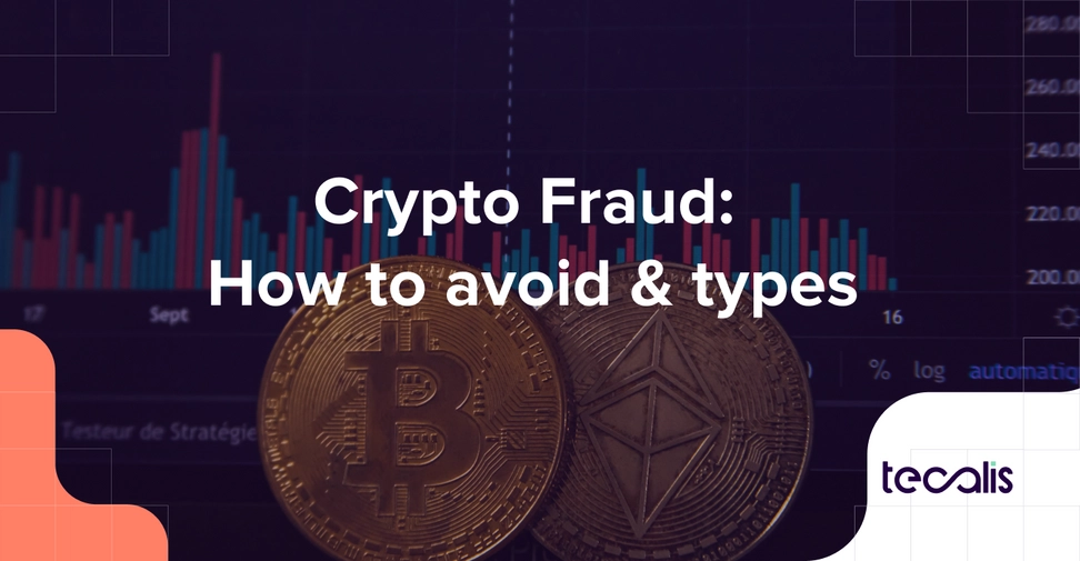 Crypto Fraud Types MiCA